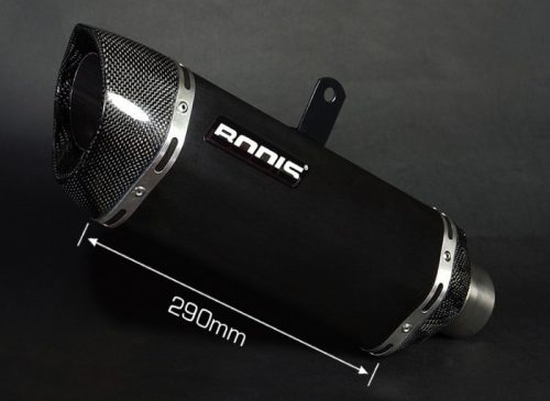 P-TEC II