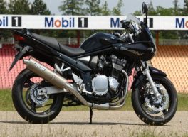 BANDIT GSF1200