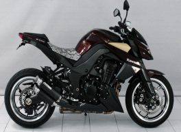 FZ1