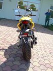 GPX2